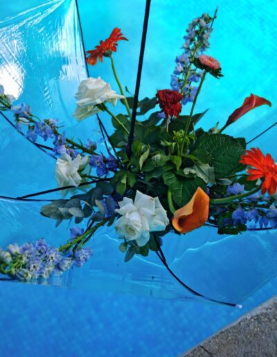 Domaine de Bellegarde, manoir de Bellegarde, lieu de location et événementiel dans le Perche