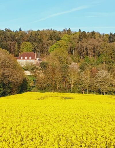 Domaine de Bellegarde, manoir de Bellegarde, lieu de location et événementiel dans le Perche